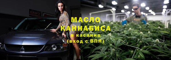 ECSTASY Ельня