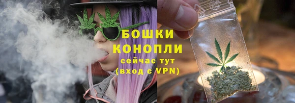 ECSTASY Ельня