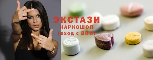 ECSTASY Ельня