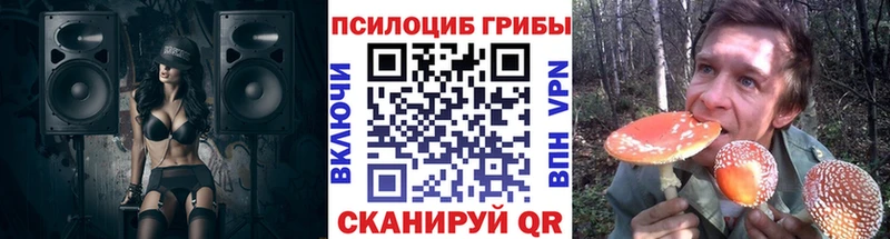 Купить где  Опочка  Псилоцибиновые грибы Psilocybine cubensis 